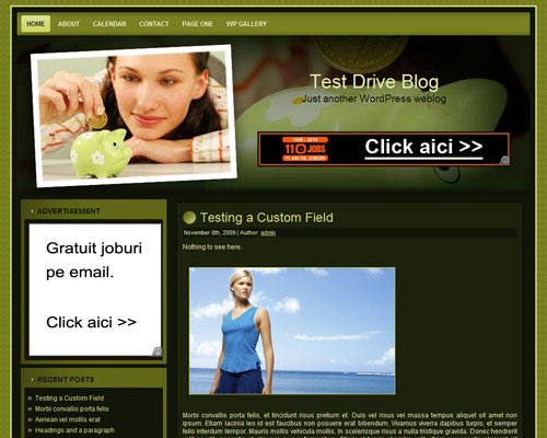 free wordpress theme Lifetime Savings
