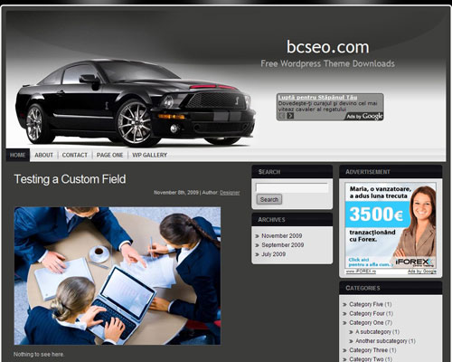 Free WordPress Theme – White Elegance