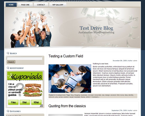 free wordpress theme Money Rain WP