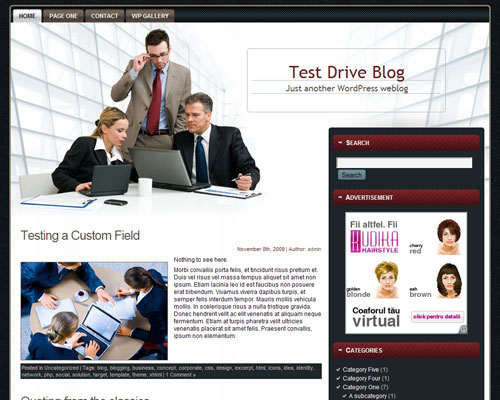 free wordpress theme Business Analysis WP