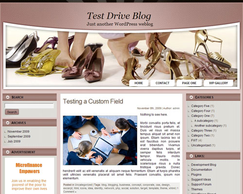 free wordpress theme Women Shoes WP2