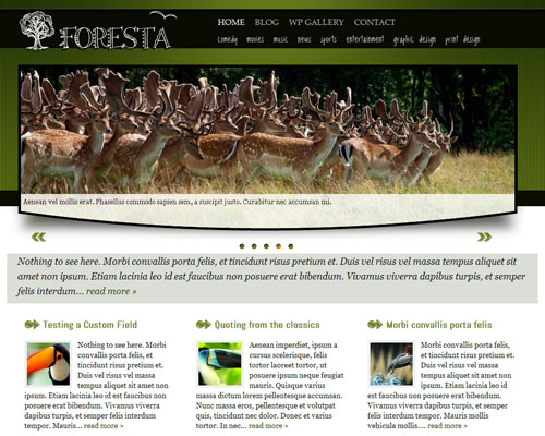 free wordpress theme Foresta