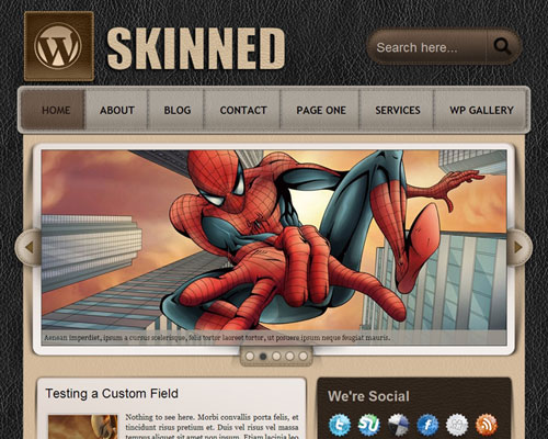free wordpress theme Skinned