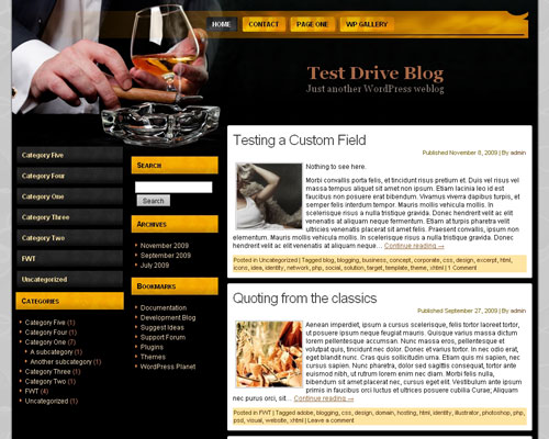 free wordpress theme Selective